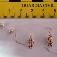 Cinco detenidos por su participación en quince delitos contra la propiedad