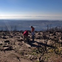 La UEx diseñará una estrategia de prevención de incendios