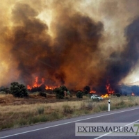 Detenidos los presuntos autores del incendio de Cáceres