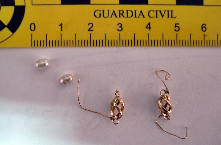 Cinco detenidos por su participación en quince delitos contra la propiedad