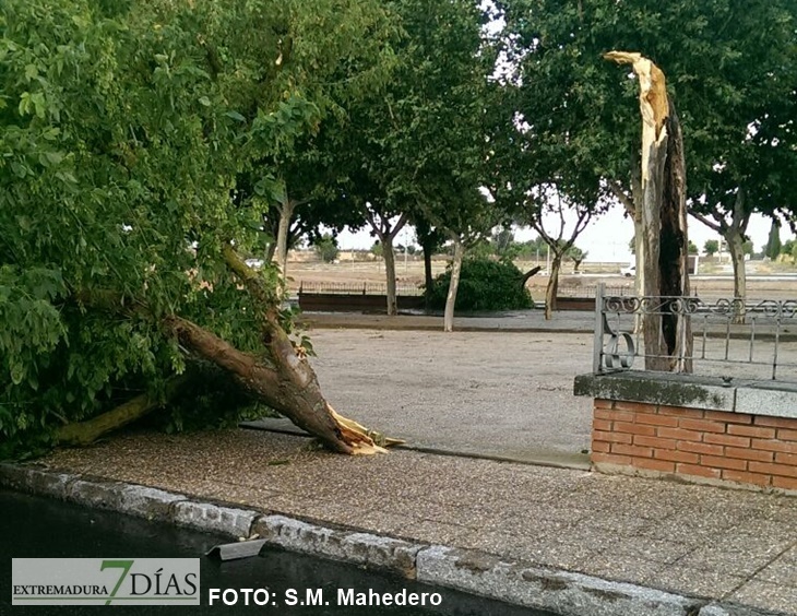 Vecinos: &quot;Lo de ayer en Villanueva parecía un huracán&quot;