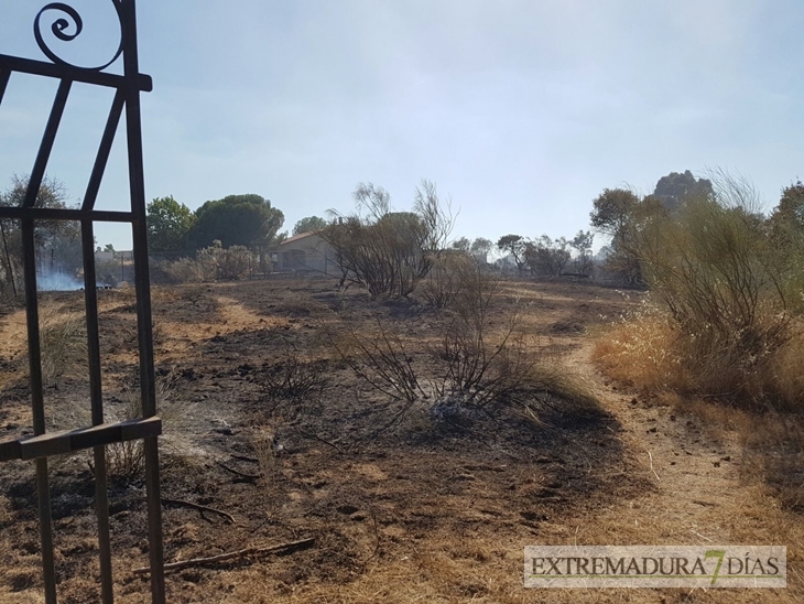 Nuevos medios se suman a la extinción del incendio de Cáceres