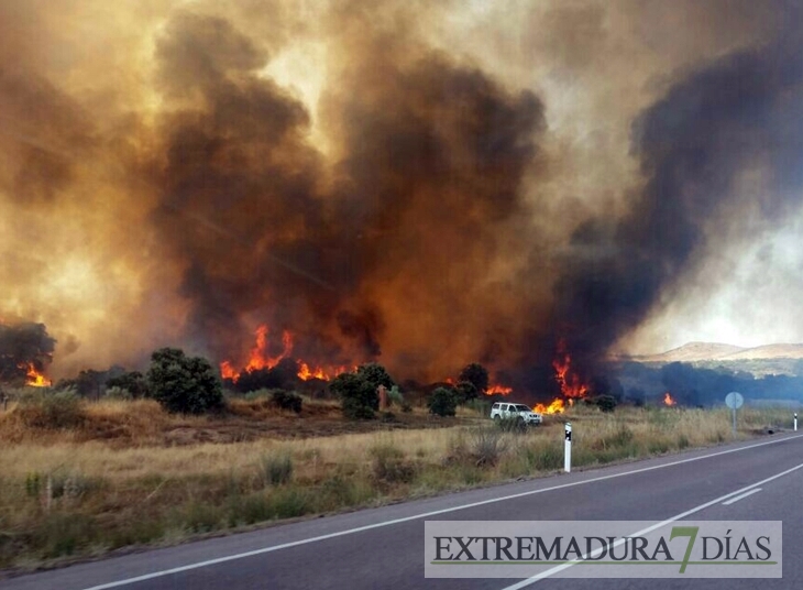 Nuevos medios se suman a la extinción del incendio de Cáceres