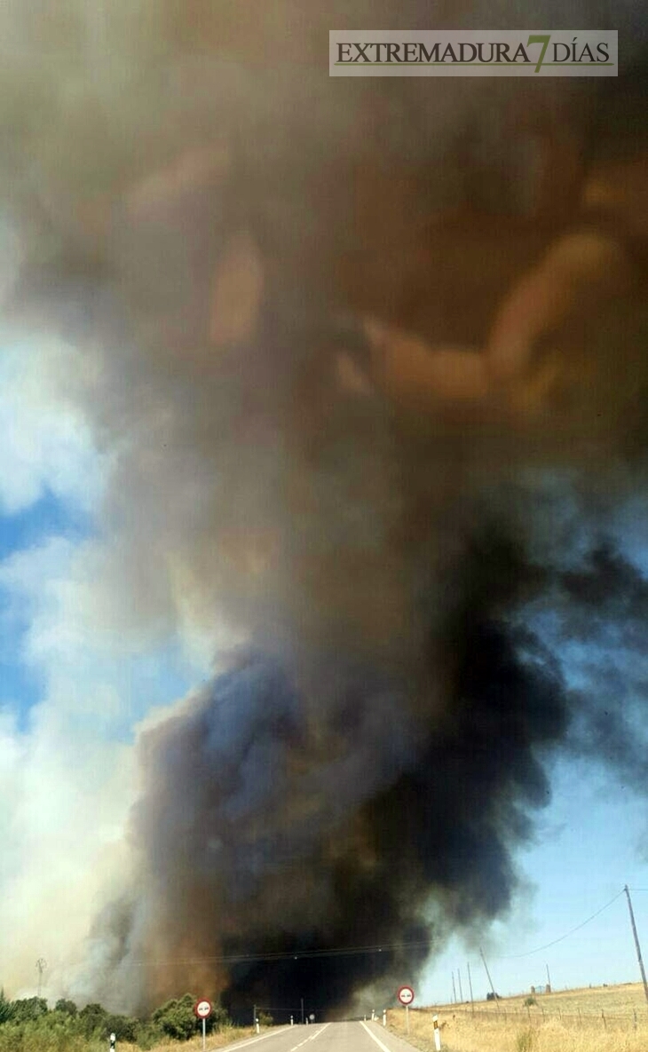 Nuevos medios se suman a la extinción del incendio de Cáceres