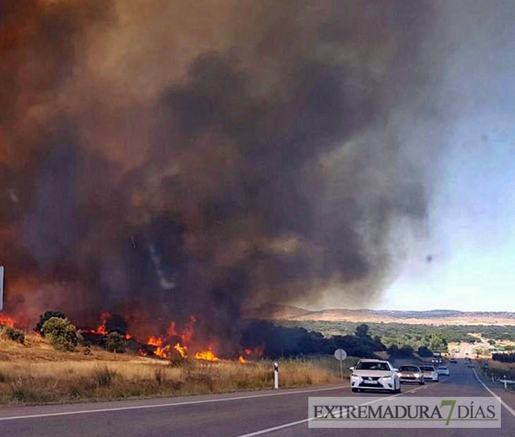 Nuevos medios se suman a la extinción del incendio de Cáceres