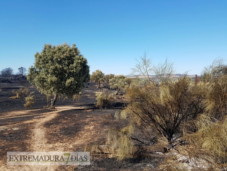 El Infoex desactiva el nivel 1 en el incendio de Cáceres