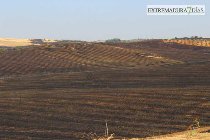 Imágenes del incendio cerca de Mérida