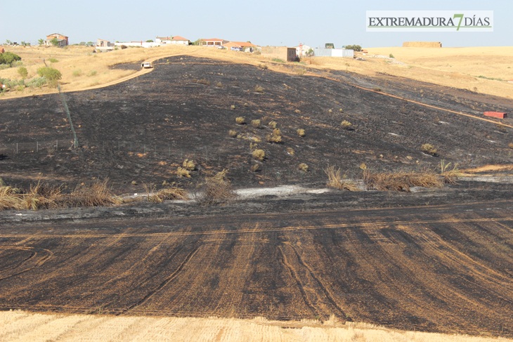 Imágenes del incendio cerca de Mérida