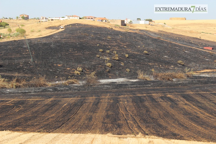 Imágenes del incendio cerca de Mérida