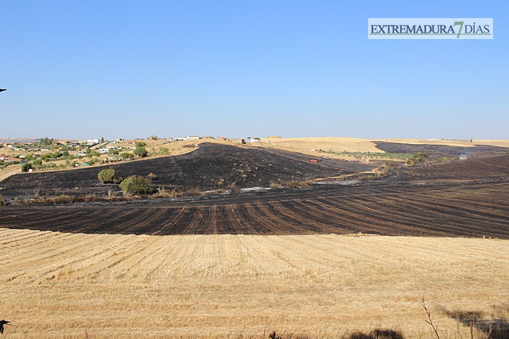 Imágenes del incendio cerca de Mérida