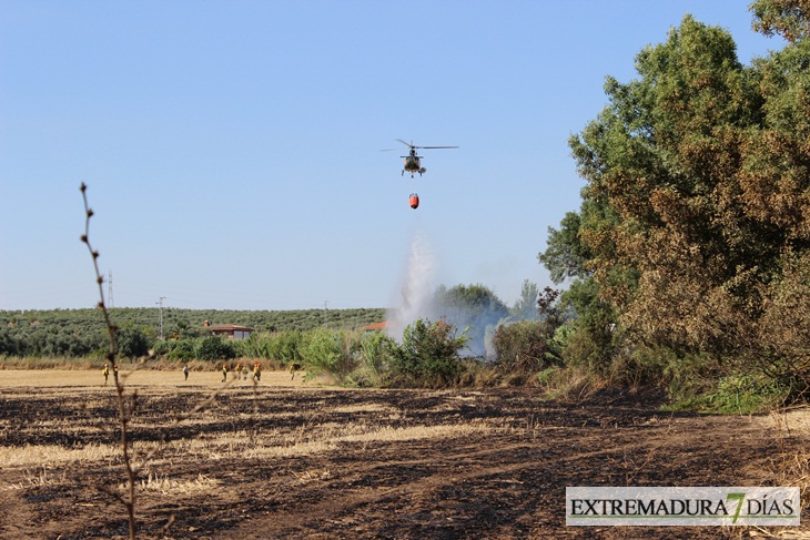 Imágenes del incendio cerca de Mérida