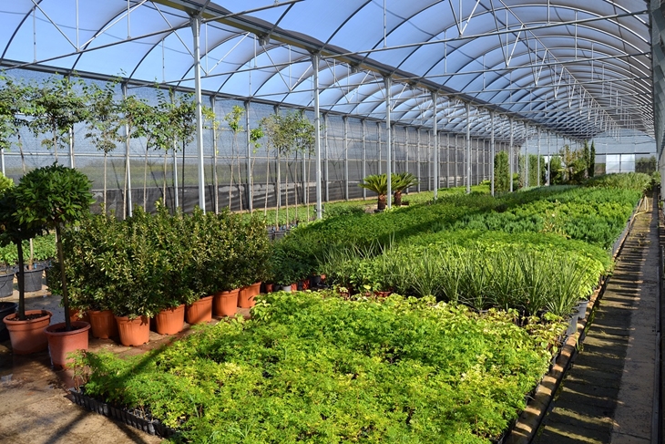 La Diputación, un vivero para los pueblos de la provincia