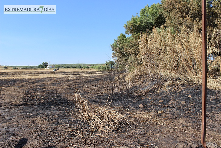 Imágenes del incendio cerca de Mérida