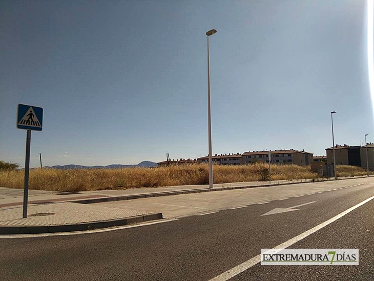 El lamentable estado de la urbanización La Calzada (Mérida)