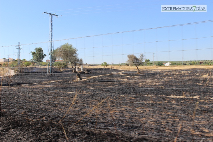 Imágenes del incendio cerca de Mérida