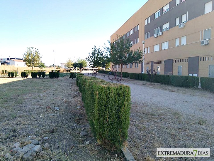 El lamentable estado de la urbanización La Calzada (Mérida)
