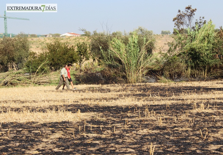 Imágenes del incendio cerca de Mérida