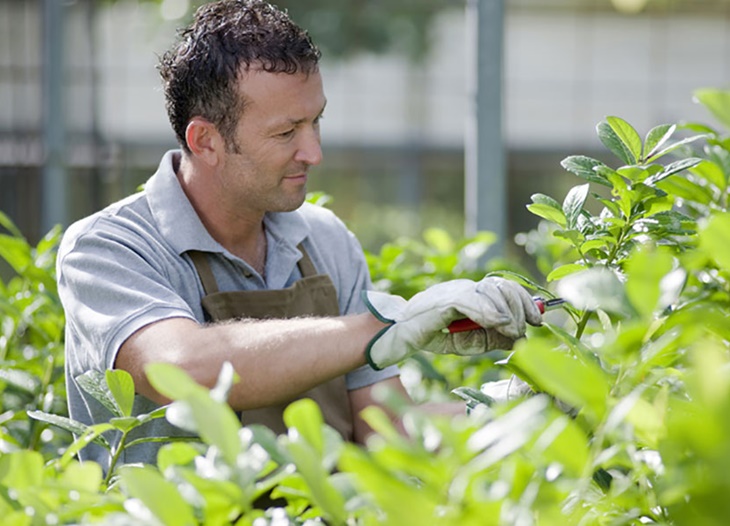 Cuatro nuevas especialidades para las Escuelas Profesionales de Mérida