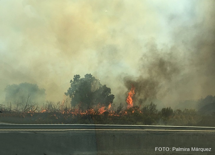 El Infoex controla el incendio de Romangordo