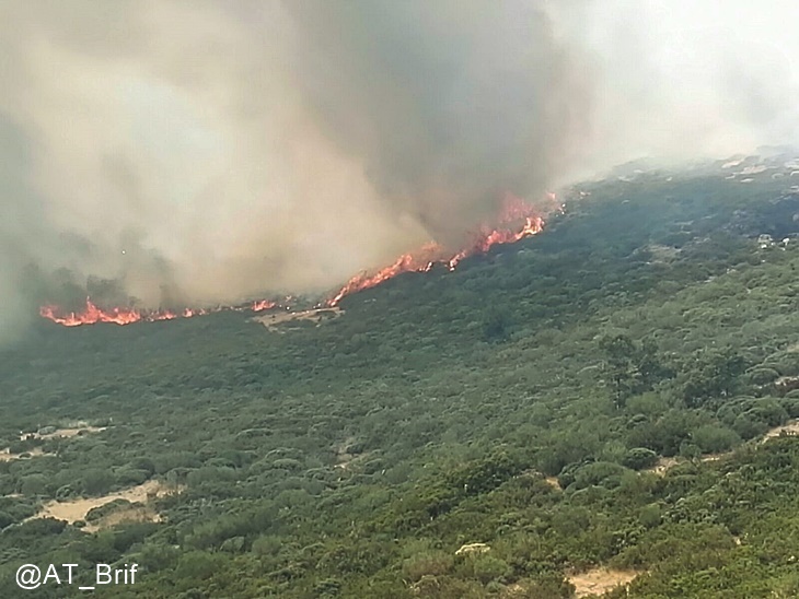 Garganta de los Infiernos: 200 hectáreas quemadas