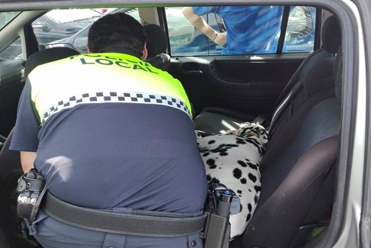 Rescatan a un dálmata del interior de un coche en el parking de El Faro