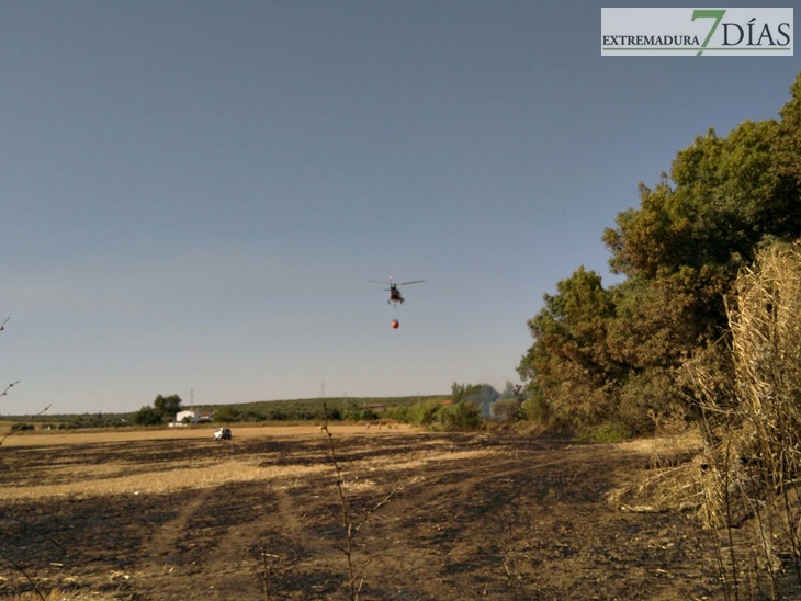 Declarado el nivel 1 de peligrosidad por un incendio cerca de Mérida