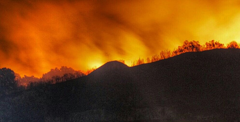 Imágenes y vídeo del incendio en Navalmoral de la Mata (Cáceres)