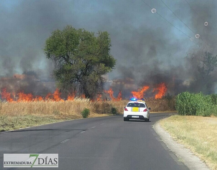 Arden 5 hectáreas entre Las Vaguadas y La Banasta (Badajoz)