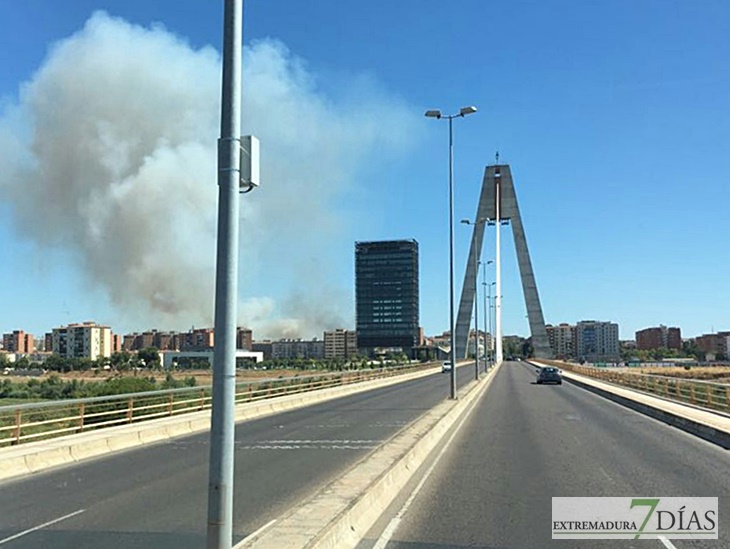 Arden 5 hectáreas entre Las Vaguadas y La Banasta (Badajoz)