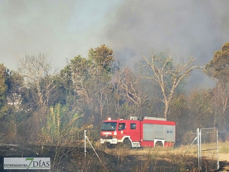Incendio en las inmediaciones de Carrefour-Valverde en Badajoz