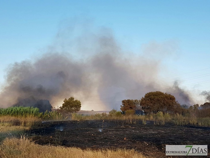 Incendio en las inmediaciones de Carrefour-Valverde en Badajoz