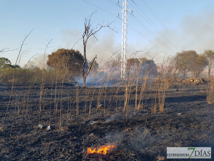 Incendio en las inmediaciones de Carrefour-Valverde en Badajoz