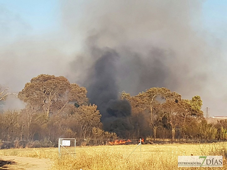 Incendio en las inmediaciones de Carrefour-Valverde en Badajoz