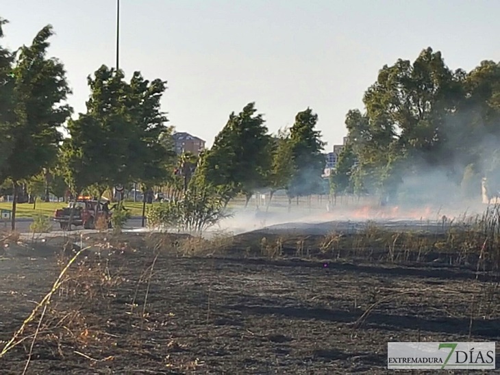 Incendio en las inmediaciones de Carrefour-Valverde en Badajoz