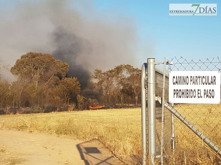 Incendio en las inmediaciones de Carrefour-Valverde en Badajoz
