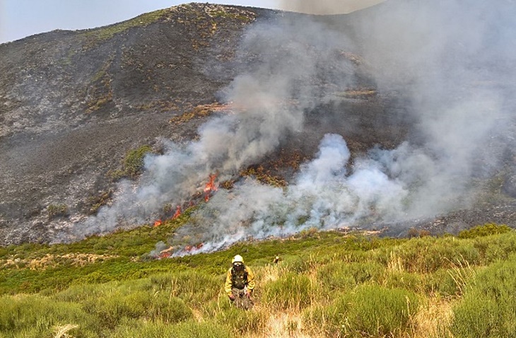 Podemos lamenta que Vara reste valor a los daños del incendio en El Jerte