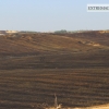 Imágenes del incendio cerca de Mérida