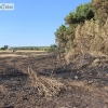 Imágenes del incendio cerca de Mérida