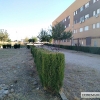 El lamentable estado de la urbanización La Calzada (Mérida)
