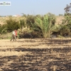 Imágenes del incendio cerca de Mérida