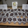 La Policía Nacional detiene a 30 personas por tráfico de drogas en Badajoz