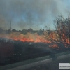 Arden 5 hectáreas entre Las Vaguadas y La Banasta (Badajoz)