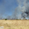 Arden 5 hectáreas entre Las Vaguadas y La Banasta (Badajoz)