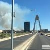 Arden 5 hectáreas entre Las Vaguadas y La Banasta (Badajoz)