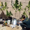 Intervenidas 102 plantas de marihuana en una finca y un domicilio de la región