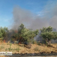 El Infoex declara el Nivel 1 en un incendio en Guijo de Galisteo