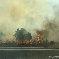 El Infoex da por controlado el incendio de Romangordo