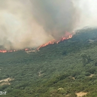 Garganta de los Infiernos: 200 hectáreas quemadas