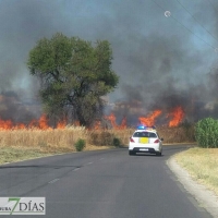 Arden 5 hectáreas entre Las Vaguadas y La Banasta (Badajoz)