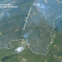 El incendio del Jerte ha arrasado ya 900 hectáreas